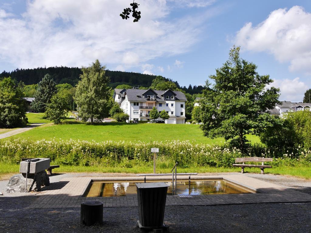 Ferienwohnung Fewo am Stryckteich Willingen  Exterior foto