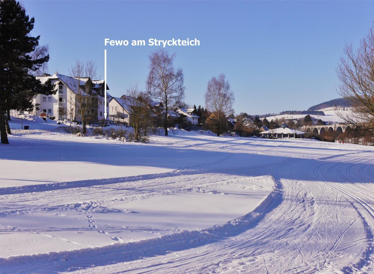 Ferienwohnung Fewo am Stryckteich Willingen  Exterior foto